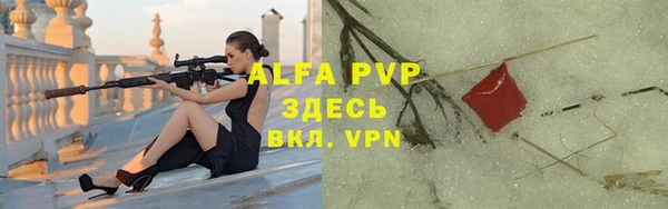 сатива Верея