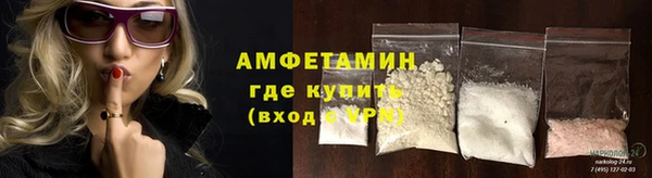 сатива Верея