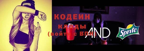 гидра Богородицк