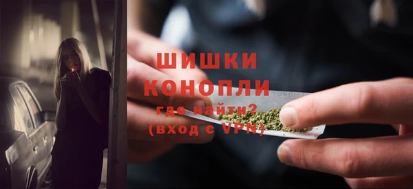 сатива Верея