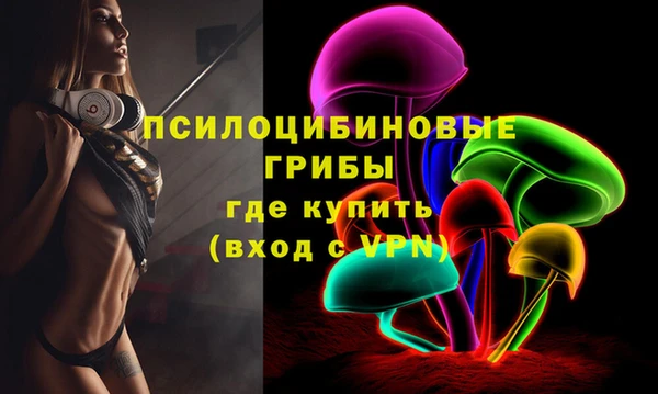 сатива Верея