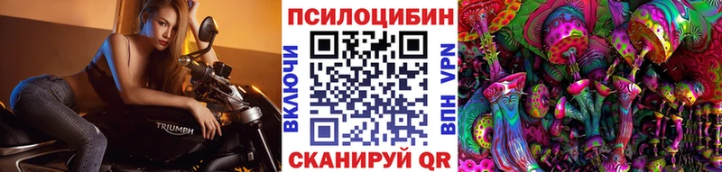 Псилоцибиновые грибы Psilocybine cubensis  Зеленодольск 
